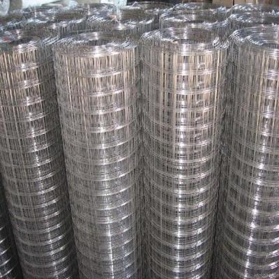 China Factory direct sj manufacturer Anping China Low Rate High Quality 1/4 Inch Galvanized Welded Wire Mesh for sale