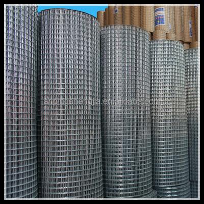 China Factory Direct Hardware Hot Dipped Galvanized Cloth / Galvanized Welded Wire Mesh for sale