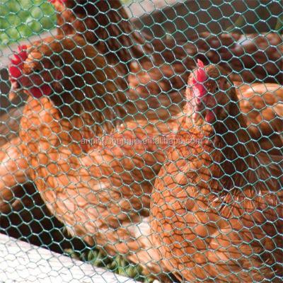 China Dutch Hexagonal Weave Chicken Wire Netting Wire Netting Poultry Mesh for sale