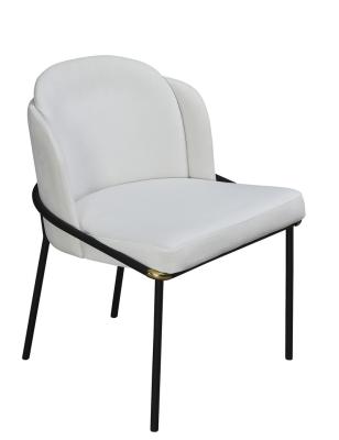 China Storage Fashionable Leisure Environmental Protection Dining Chair Living Room Furniture for sale