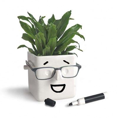 China Art Human Face Succulent Succulent Cactus Planter Modern Creative Head Planter Pot DIY Planters Head Flower Pot for sale