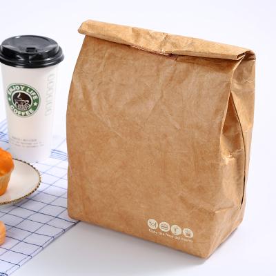 China Wholesale Reusable Waterproof Washable Waterproof Lightweight Snack Bags Thermal Insulated Brown Tyvek Lunch Paper Cooler Bag for sale