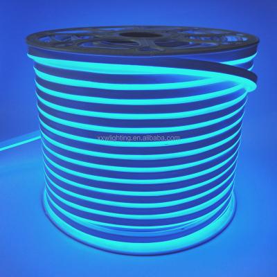 China LANDSCAPE SHENZHEN Factory 12V 24V Waterproof Silicone Led Flex Neon Light for sale