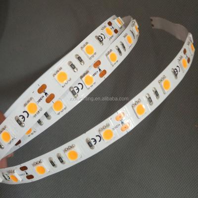 China Customized LANDSCAPE led wired strip light 24V 12V 5v 5050 led strip for sale