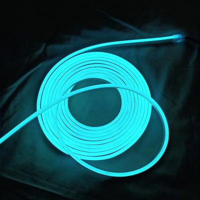 China LANDSCAPE Silicone 6*12mm 8*16mm RGB Color Changing LED Neon Light for sale