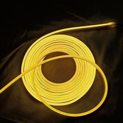 China LANDSCAPE 6mm 8mm RGB Neon Flexible Led Light for sale