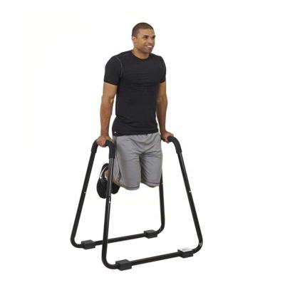 China Universal Professional Hot Sale Customized Wholesale Gym Pull Up Bar Dip Station For Exercise for sale