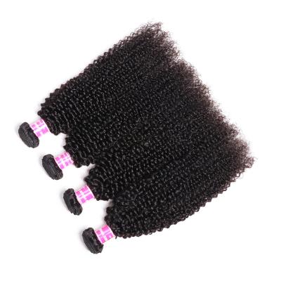 China Kinky Curl Wholesale Original Natural Cuticle Aligned Double Drawn Kinky Curly Virgin Hair In South Africa for sale