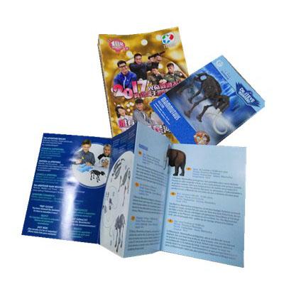 China Custom Eco-friendly All Kinds Of Booklet Flyer Printing High Quality Color Pamphlet Magazine Binding Instructions for sale