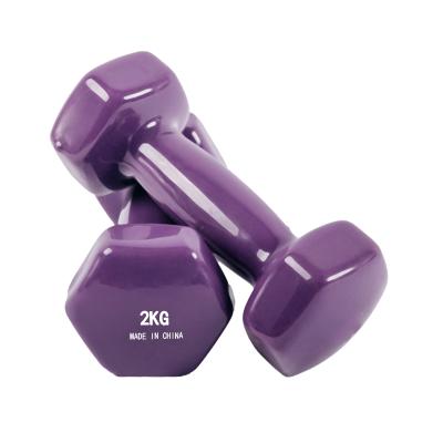 China Factory Wholesale Anti Rolling Hex Dumbbell Set Hand Weight Exercise Home Gym Dumbbell for sale