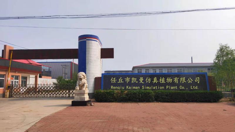 Verified China supplier - Renqiu Kaiman Simulation Plant Co., Ltd.