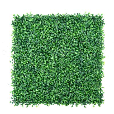 China Minimalist Artificial Boxwood Hedge 50*50cm Panels Garden Wall For Decoration for sale