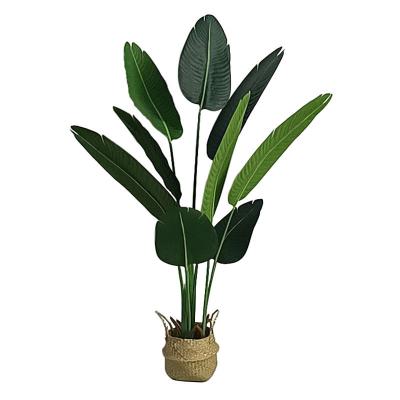 China Minimalist Hot Selling Artificial Banana Tree For Home Decoration Plastic Traveler Palm On Mall Supermarket Shipping Sale for sale