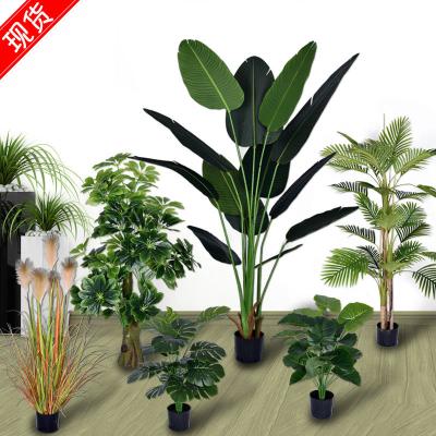 China New Design Bonsai Plant Minimalist Artificial Potted Tree Mini Palm Tree For Home Decoration for sale