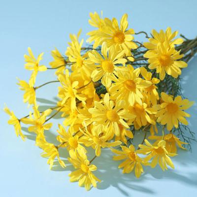 China Real Touch Nature Artificial Silk Flowers Daisy For Wedding Office Room Decoration for sale