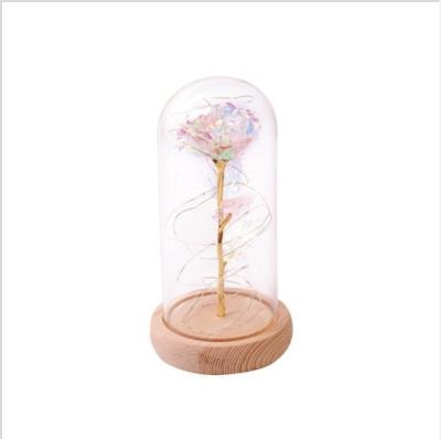 China Wedding Valentine's Day Gift 2020 New Decorate Light Beauty And The Beast Red Silk Lamp Rose Flower In Glass Dome For Valentine's Day Remote Rose Lamp for sale