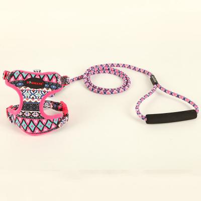 China Sustainable Neoprene Floral Custom Logo Dog Harness Leash Set for sale