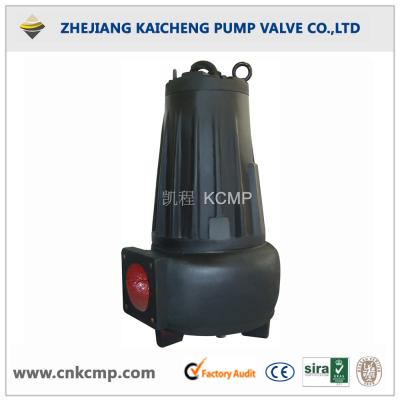 China High Efficiency AS 16-2CB Sewage Pump for sale