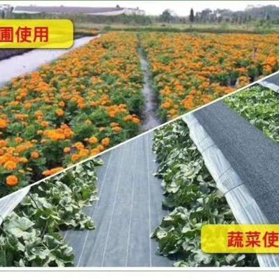 China Agricultural or Garden Green Cover Geotextile Plastic PP Woven Black PP Woven Fabric for sale