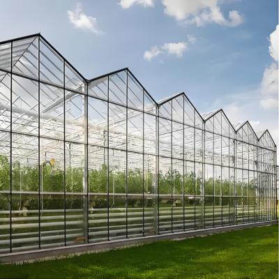 China Tempered 4mm Greenhouse Glass for Agriculture for Exporting à venda