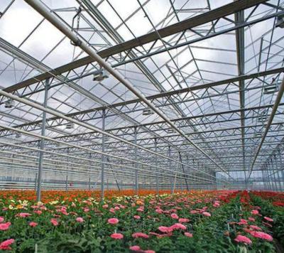 China Glass greenhouse vegetable and flower planting can be used out of season à venda