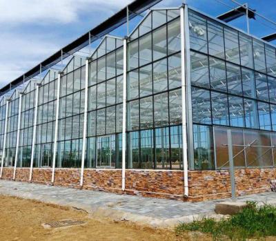 China 4mm patterned Glass for Greenhouse  with Competitive Price à venda