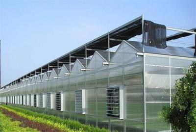 China Vegetable Under/Toughened Tempered  Glass Te koop