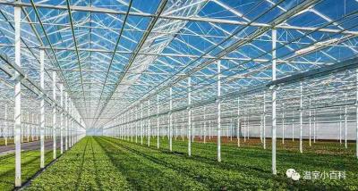 China Tempered 3.2mm  4mm Greenhouse Roof Cover  Glass for Vagetables and Plants Te koop