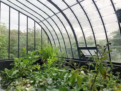 China Tempered 4mm Greenhouse Roof  Glass for Vagetables and Plants Te koop