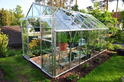 China 4mm Tempered Patterned Glass for  Vegetable Plants Growing Greenhouse and Garden Glass House Te koop