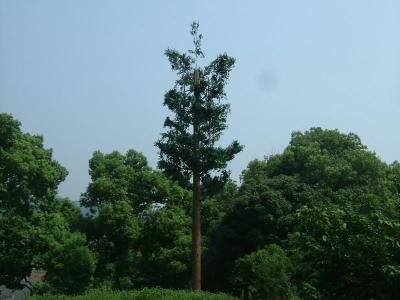 China Camouflaged  Palm Tree Towers Bionic  Telecom Artificial 4m ~ 9 m for sale