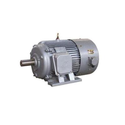 China Factory Sale Widely Used Various Phase Motor Electric Motor Asynchronous Manufacturer for sale