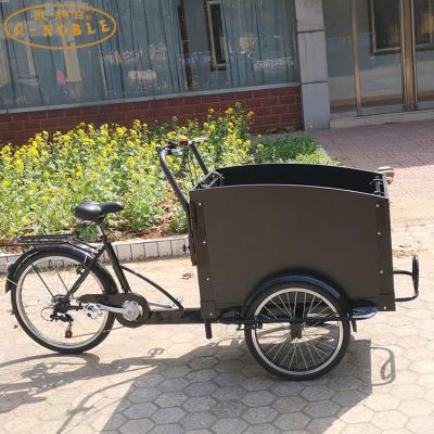 China Transport Kids or Pets Electric Cargo Tricycle Bike 3 Wheel Cargo Bike Passenger Bike for sale