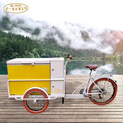 China Selling the 3 wheel street business electric bicycle ice cream tricycle and mobile ice cream popsicle freezer for sale