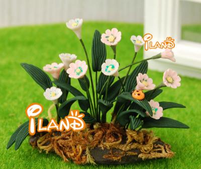 China Mini Toy Iland Miniatures Dollhouse Garden Flower / Plant Fairy Daisy OP010B Mini Flower White for sale