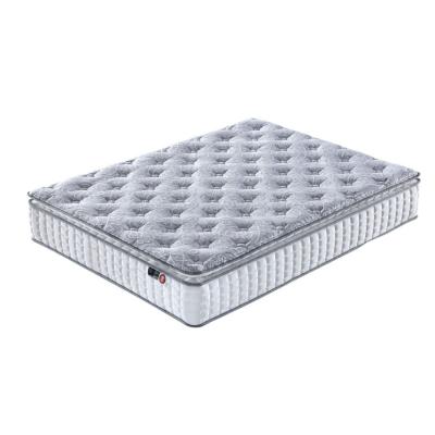 China Single size minimalist pocket size coil spring frieproof cotton mattress for sale