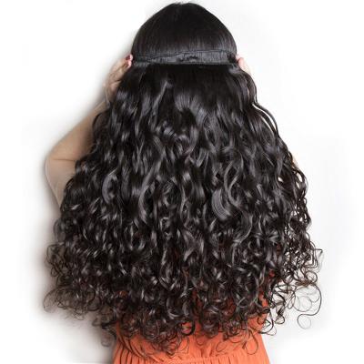 China Bodywave Cuticle Aligned Virgin Hair Water Wave Bundles With Closure Brazilian Remy Hair Bundles Natural Black for sale