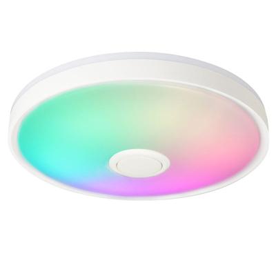 China Family Party Sync Outdoor Mounted Ceiling Lights With Music Timer Delay Control Switch Wifi Smart Ceiling Light for sale