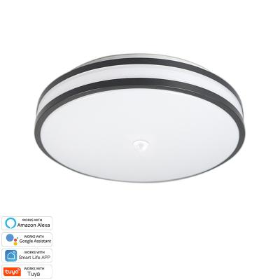 China Kitchen Dustproof Hallway Bedroom Living Room Infrared Motion Sensor Induction Lamp Fixture Rounded Led Flush Smart Ceiling Light for sale