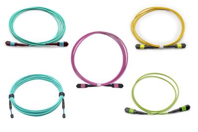 China OS2 OM3 OM4 OM5 SM MM 8F 12F 24F Elite Loss MPO MTP patchcord for sale