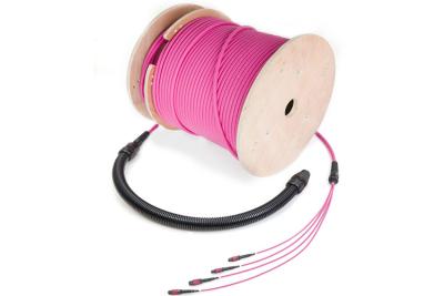 China CE ROHS Optical Fiber Trunk Cable MTP Multimode Fiber Jumpers MPO Fiber Patch Cord for sale