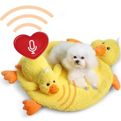 China High Quality Worry Relief Pet Training Aid Duck Cat Toys Soothing Calming Stocked Pet Training Aid for sale