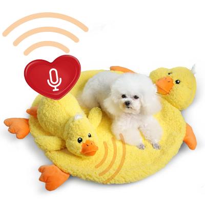 China Stocked Soothing Warm Plush Toy Stuffed Dog Heartbeat Puppy Toy Worry Relief Comfort Anxiety Set for sale