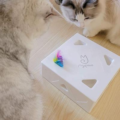 China New Viable White Filling Magic Box Cat Toys Electric Smart Interactive Cat Toy for sale