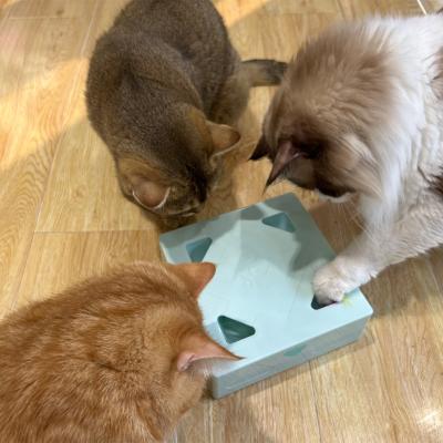 China High Quality Viable Funny Pet Automatic Feather Temptress Play Crazy Game Cat Spring Interactive Toy for sale