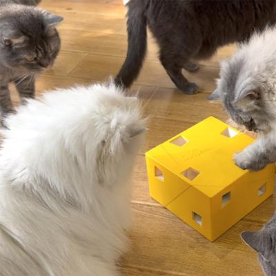 China OEM Pet Fun Plastic Magic Box Stocked Interactive Toys Feather Puzzle Scratch Cat Toys for sale