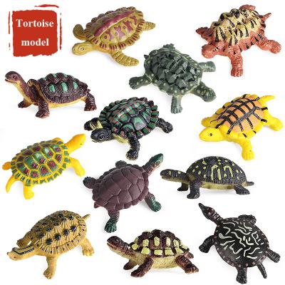 China Turtle Animal Model Set PVC Ocean Oenux Simulation Action Numbers Toy 12 Miniature Turtle Model Set Home Decor Kids Education Animal Christmas Gift Wholesale PVC for sale