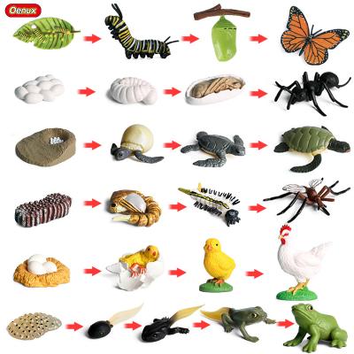 China Toy Oenux Wholesale Miniature Plastic Model Toy Simulation Animals Growth Life PVC Action Cycle Animals Growth Cycle Action Numbers Collection for sale