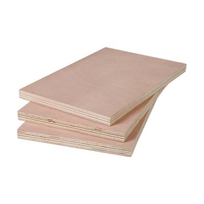 China Modern White Plywood Veneer 6mm 8mm 10mm for sale