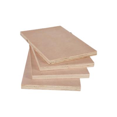 China Modern high quality 18mm phenolic board/film faced eucalyptus plywood/hardwood for sale